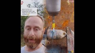 This Is So Funny I Couldnt Stop Laughing  funny doddlersoftiktok funnys duet