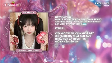 Anh Là Ngoại Lệ Của Em (Fixed 2024) - Phương Ly ft. Toann Remix | Hot TikTok - Audio Lyrics Video