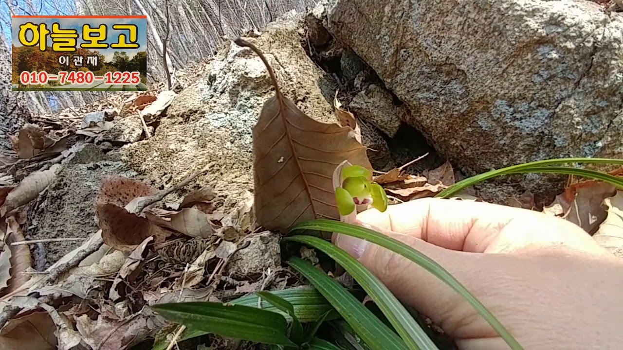 초보시절에 속기 쉬운 난 들