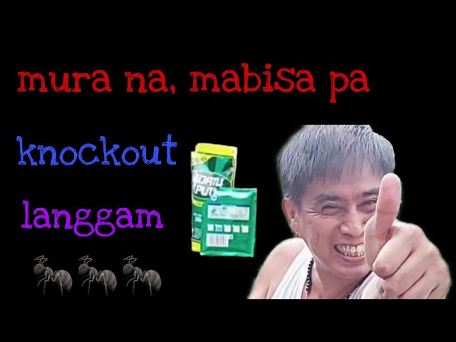 Knockout in 5-10 seconds...Mura't mabisang pamatay langgam. class=