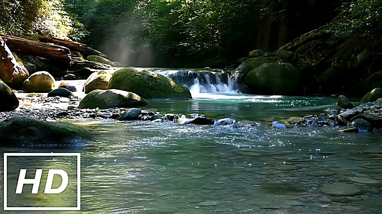Synchronized Breathing Meditation | Calm Mind & Deep Focus by the Waterfall