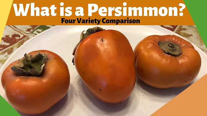 What is a Persimmon?| Four Variety Comparison - DayDayNews