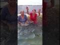 Gaheero baho re ganga maiya #ganga #amavasya #trending #shorts #ytshorts