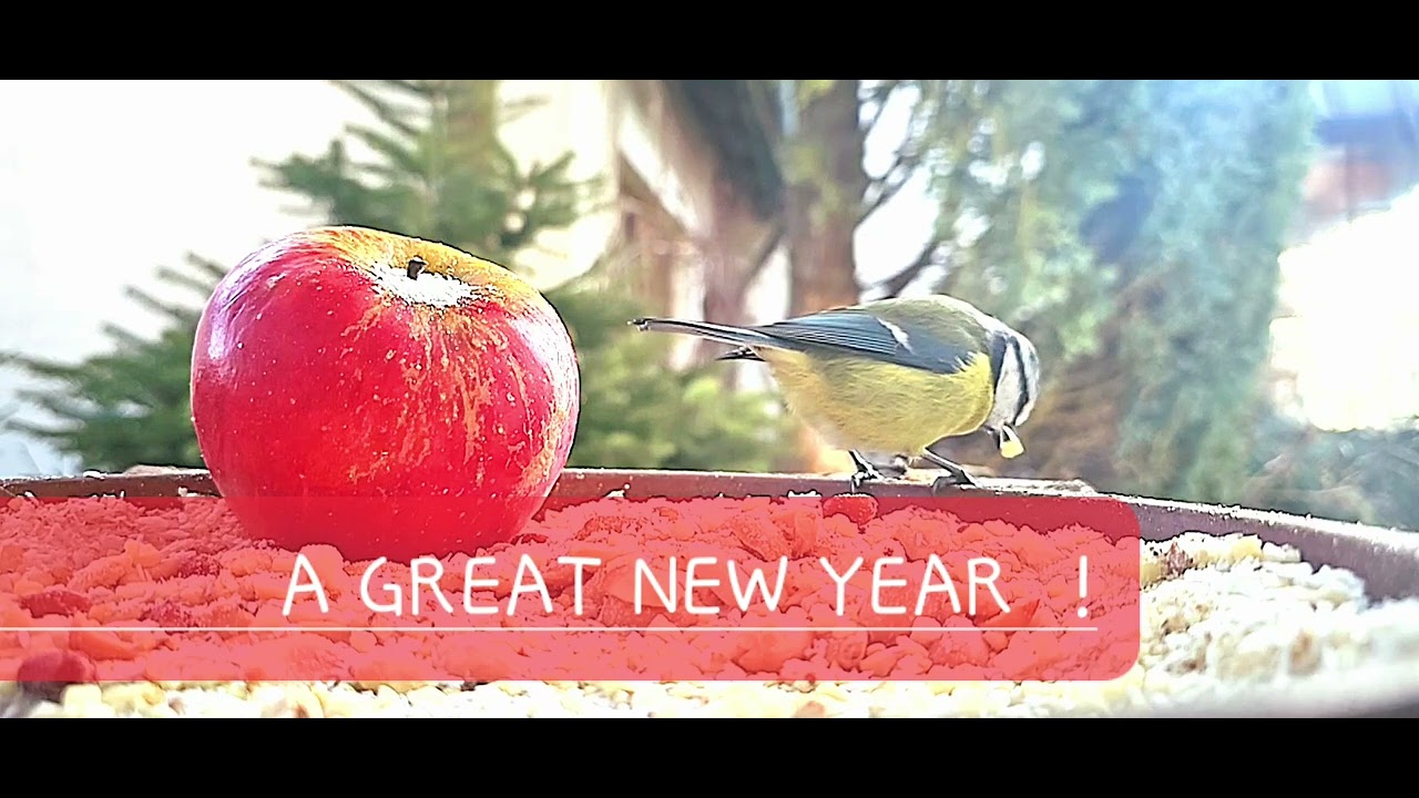 A GREAT NEW YEAR ! - YouTube