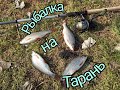 Рыбалка на тарань!!! Запорожье-Разумовка ,Беленькое!