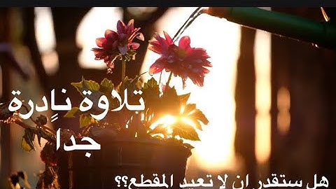 اجمل تلاوة ٢٠٢٠ | لن تسمع اجمل منها|  سورة الفرقان | القارئ الحميدان