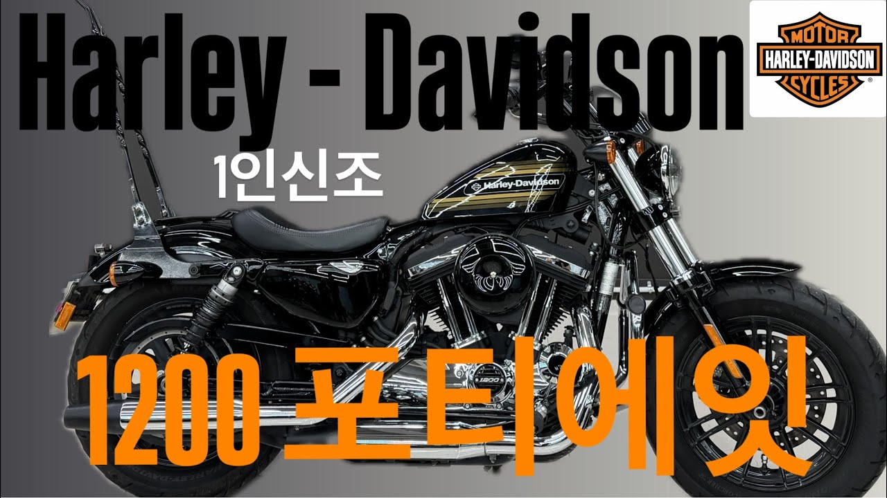 (판매완료)포티에잇1200스페셜 20년식의 보기드문 1인신조 포티에잇~!, 남녀노소,시니어까지 최고의 인기차종