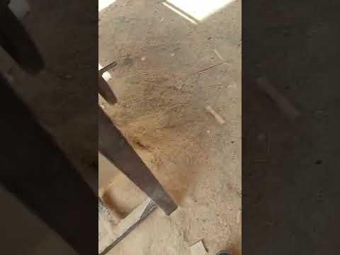 أقوي منشار خشب في العالم