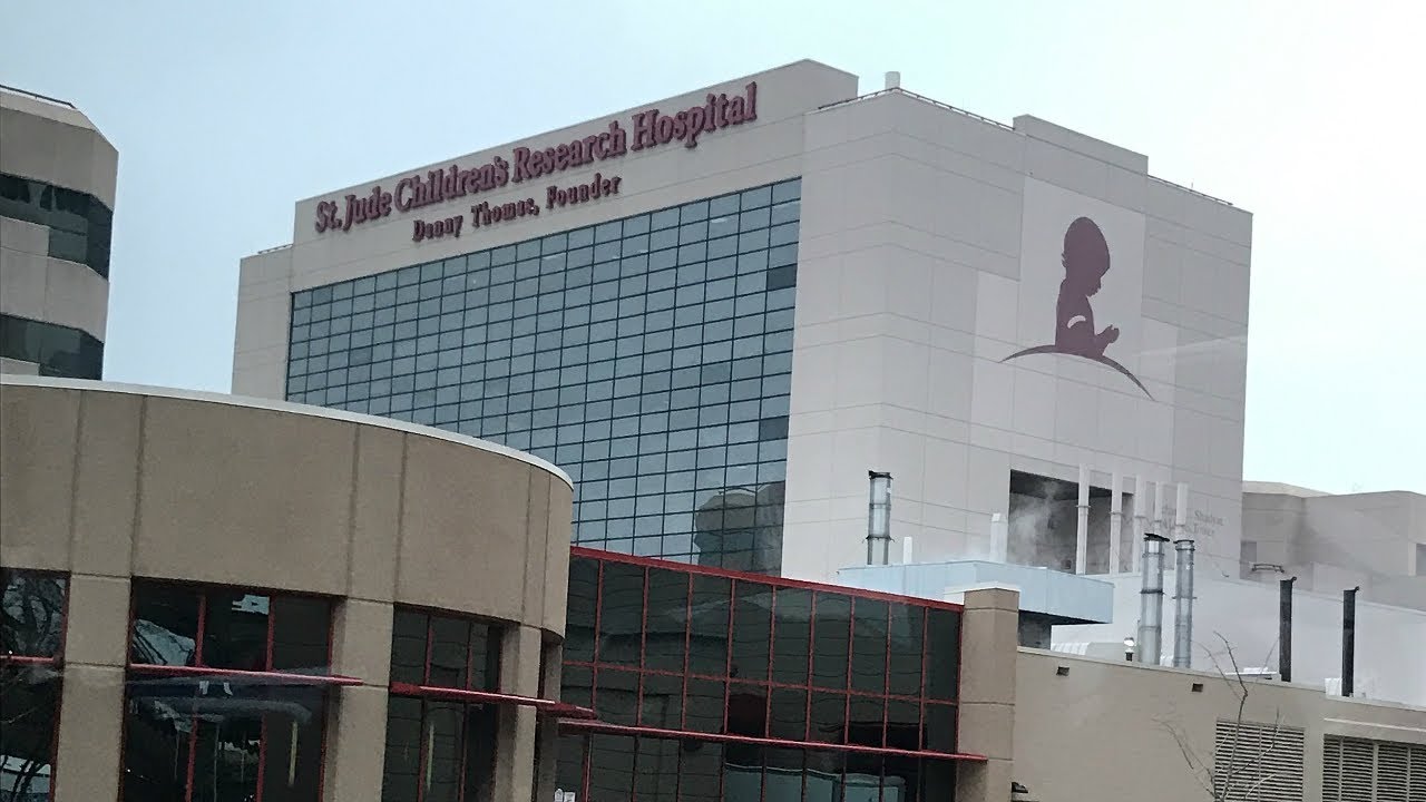 camera iphone 8 plus apk St. Jude Children's Research Hospital Success Story: Kathleen Brown