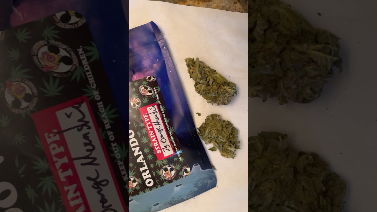 Orange Moonshine Outdoor