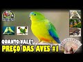 QUANTO VALE MEU PÁSSARO? PREÇO DAS AVES #PARTE 1