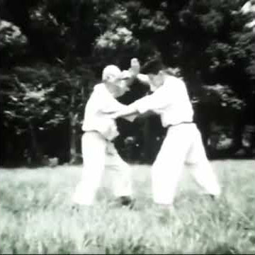 Soke (grandmaster) Masaaki Hatsumi and his Soke Takamatsu Toshitsugu.