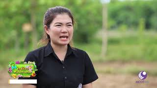 คนไทยหัวใจเกษตร  17 กรกฎาคม 2562 B1