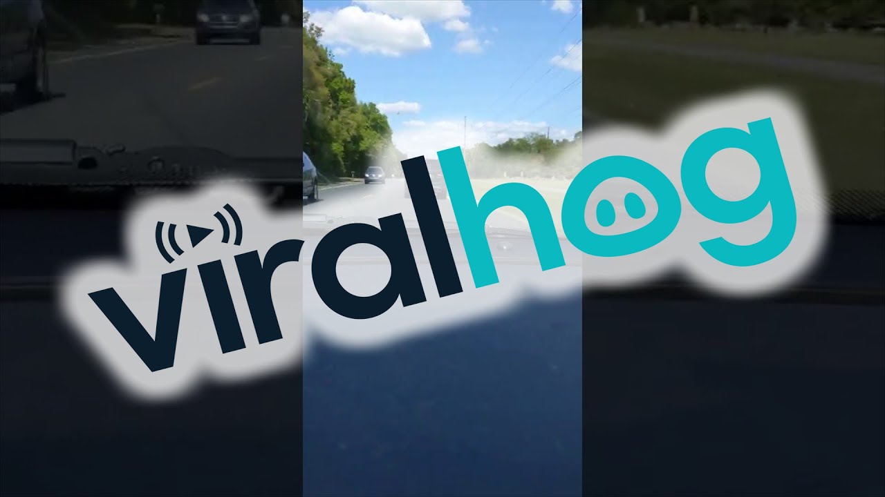 Distracted Driver Slams Into Turning Car || ViralHog - YouTube