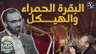 ذبح البقرة الحمراء وبناء الهيكل.. ما الذي يخططون له؟