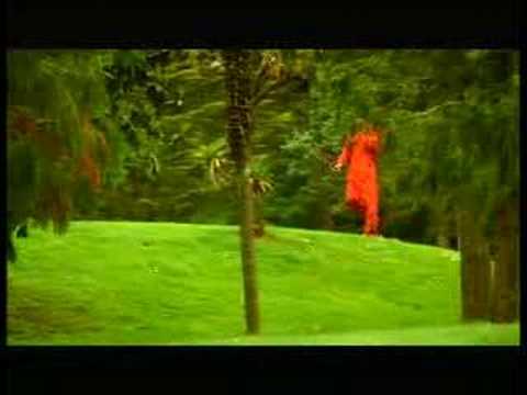 I'm The Line Video