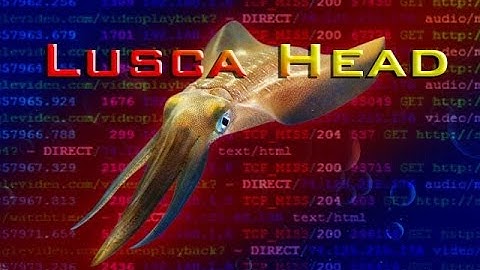 Installing Lusca Head on Ubuntu Server as The Proxy Server
