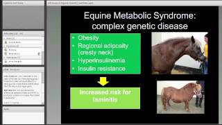 Advances in Equine Genetics