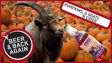 Adding Pumpkin to Cider? | Taves Estate Cidery | Beer and Back Again (2022)