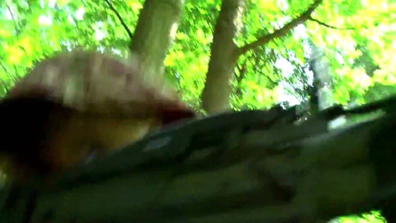 evike.com Commercial! HD Video Challenge week 1 winner