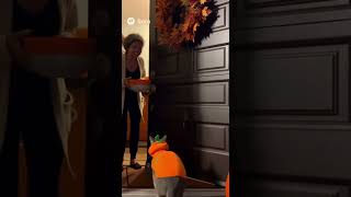Cats Trick Or Treat, Made By Sora2