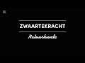 Zwaartekracht | Natuurkunde