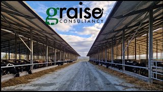 Managing 500+ cows through spring calving