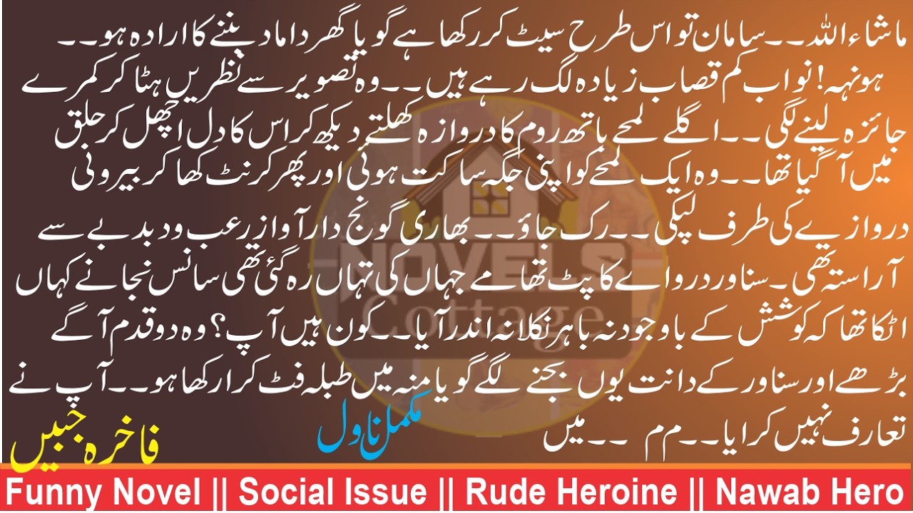Funny Novel || Social Issue || Rude Heroine || Nawab Hero