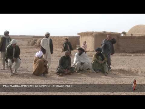 ოპერაცია კოდური სახელით „მონადირე II