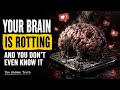 Your Brain is Rotting and You Don't Even Know It