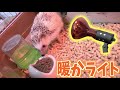 寒さ対策のはずが・・・。ハリネズミのお家