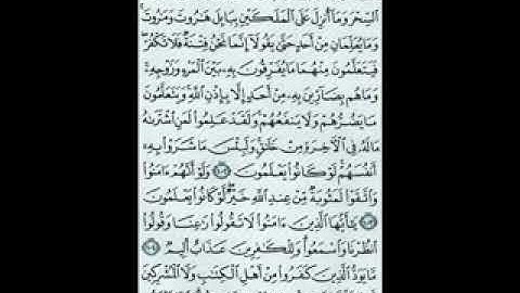 البقرة من الآية 75 إلى الآية 141