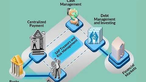 SAP TRM Training Material Video | SAP TRM Training