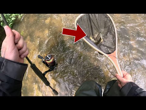 Shallow CREEK fishing for TROUT! 