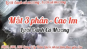 lưới 3 màn đánh cá mương,  lưới 3 màn đánh chìm, lưới giăng cá mương, lưới thả cá mương,lưới cá đối