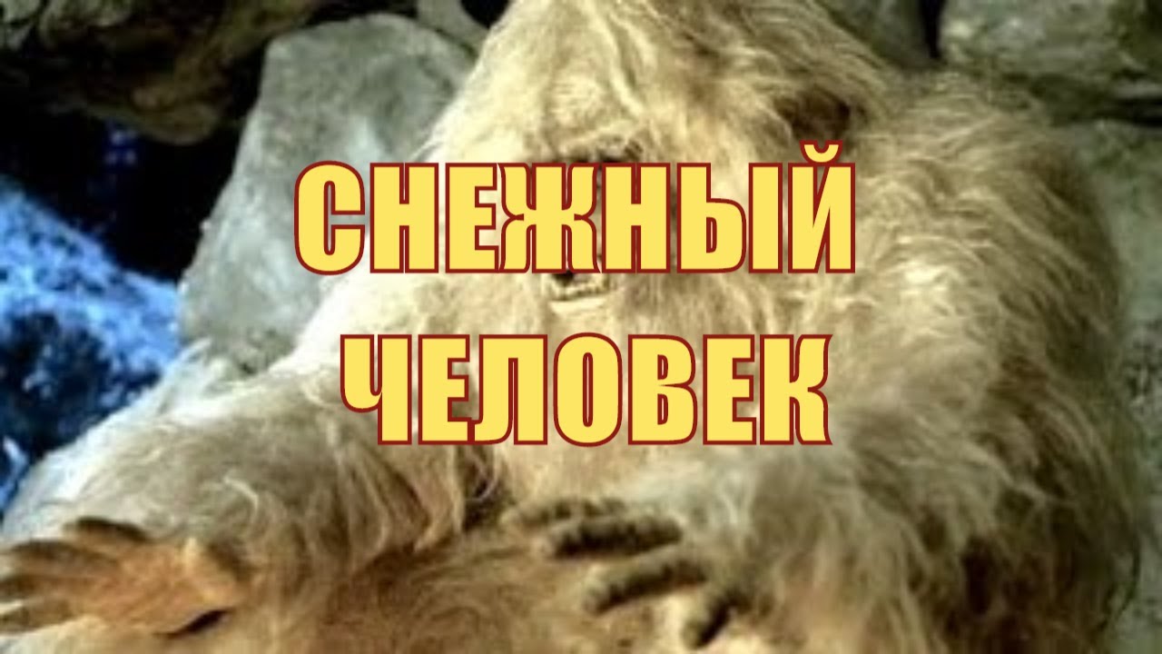 Дальней родственник человека