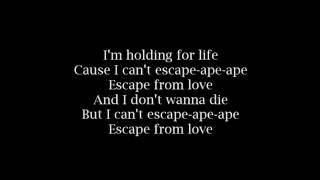 Eva Simons & Sidney Samson - Escape From Love Lyrics
