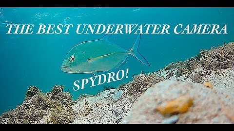 The BEST Underwater Camera-SPYDRO!