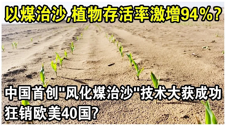 以煤治沙，植物存活率也能激增94％？中国首创“风化煤治沙”技术大获成功，狂销欧美40国！年产量20万吨，赚9亿？ - 天天要闻