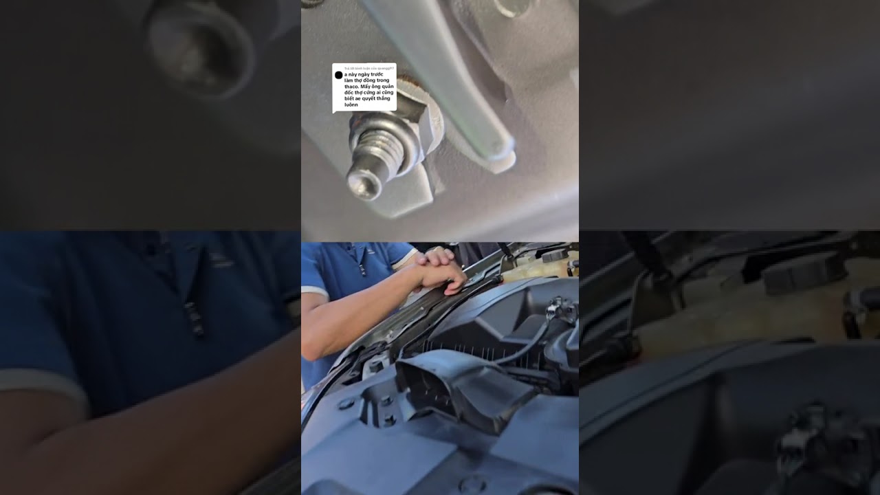 Bác khách mua được húc đít tải . chủ củ còn ngồi cười trong xe😂 #viral #thinhhanh #xuhuongyoutube