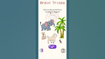 Brain Tricks Level 252