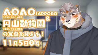 【雑談配信】AOAO SAPPORO＆円山動物園の写真を見よう！2024/10/14&27撮影【Vtuber/凍凪コウガ】