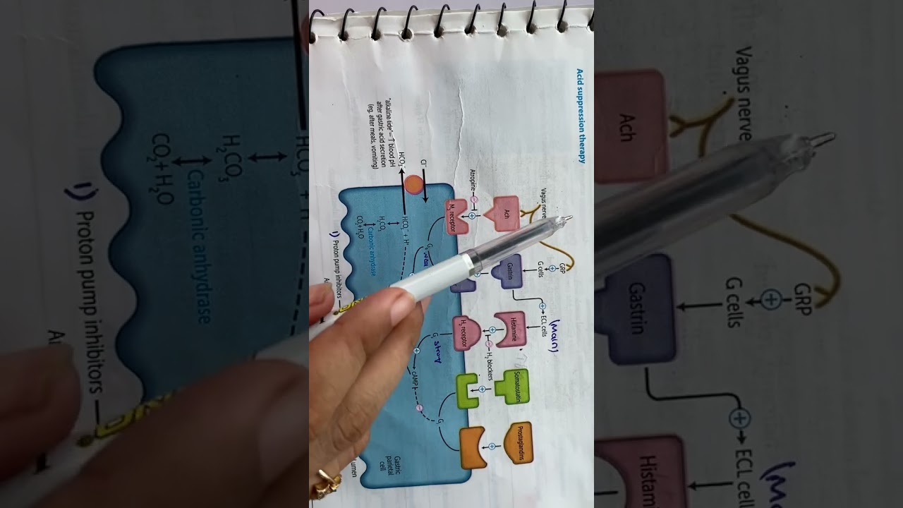 GIT FirstAid pharmacology lectures (Acid suppression therapy)