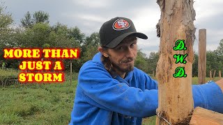 SOMETIMES LIFE IS HARD | vlog, couple, life, tiny house, homesteading, off-grid, rv life |