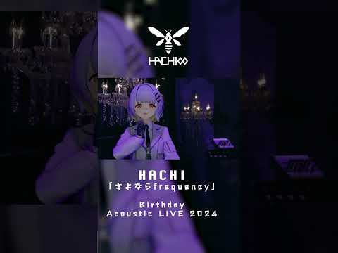 さよならfrequency / HACHI【HACHI Birthday Acoustic Live 2024】#shorts