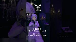 さよならfrequency / HACHI【HACHI Birthday Acoustic Live 2024】#shorts