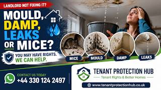 Mould, Damp or Leaks Know Your Tenant Rights