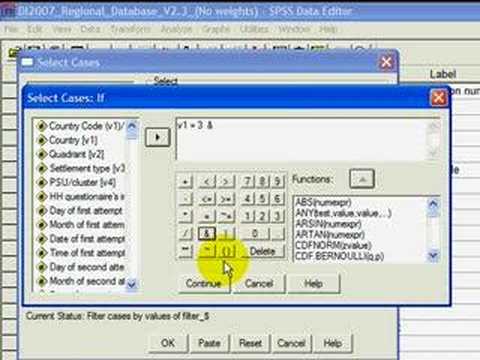 SPSS 6 | Looking at Particular Groups