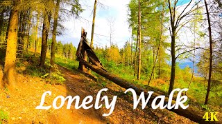 Lonely Walk In Forest | 4K | ASMR | Nature Hike | Spring Trail | Pure Sounds Of Walk and Birds