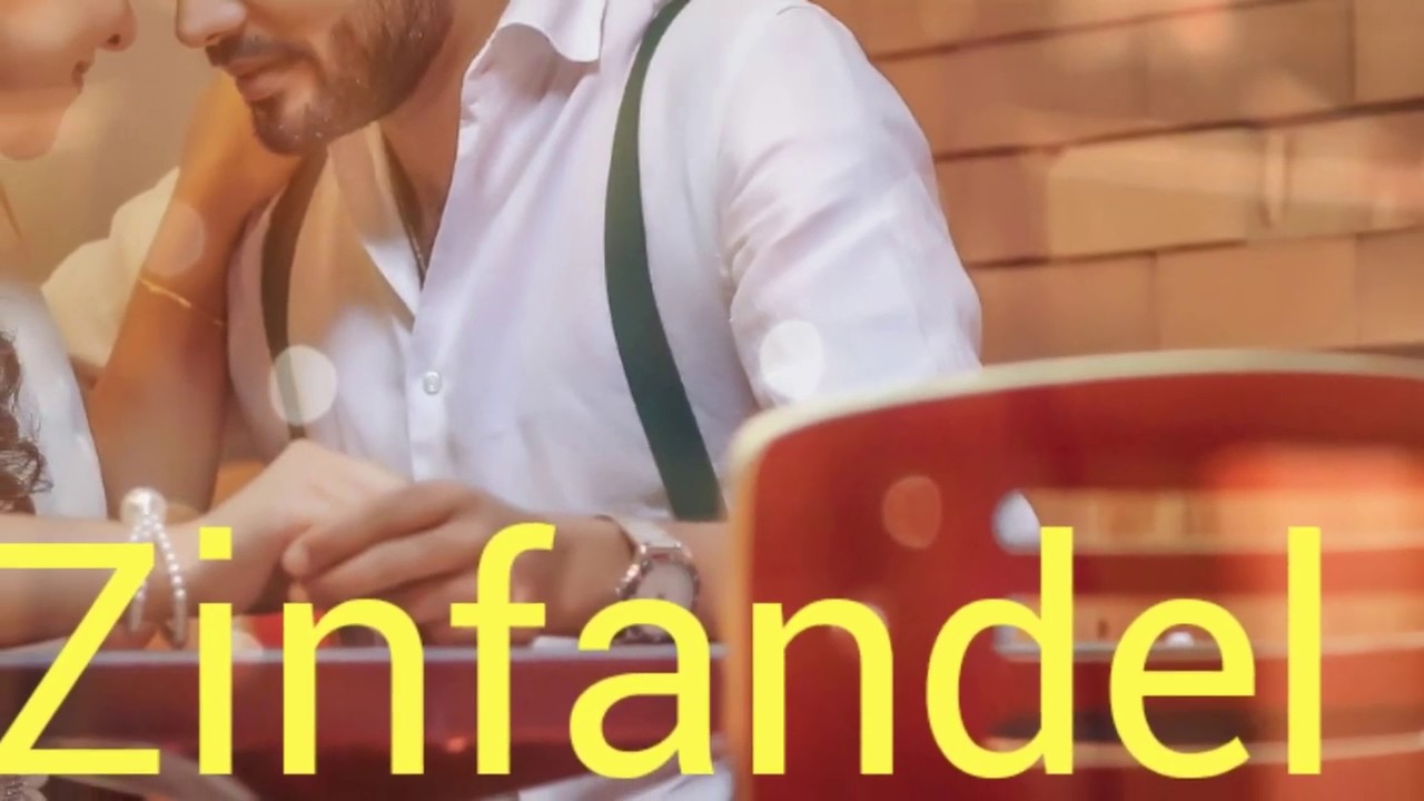 How to pronounce zinfandel. Wine terminology. YouTube